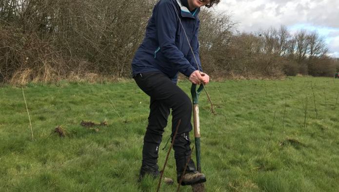 Virtual forest helps West Midlands be greener